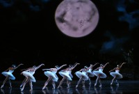 El San Francisco Ballet ofreció ocho funciones de "El lago de los cisnes" en el Teatro Real de Madrid. Foto: Javier del Real. Gentileza Teatro Real de Madrid.